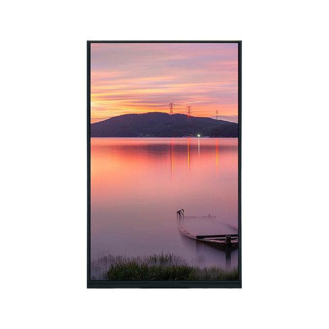 Industrial 10.1 Inch MIPI TFT LCD Screen Module 800*1280 Resolution 10.1 Inch LCD Display