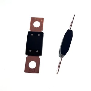 LITTEL FUSE ANL Car MEGA Bolt-on Blow <span class=keywords><strong>A</strong></span> Fusible Blade 40A 50A 60A 80A 100A 125A 175A 150A 200A 250A 300A 400A fusible - Product Image 4