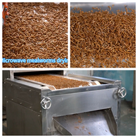 Séchoir industriel automatique à micro-ondes pour insectes BSFL, machine de séchage continue en tunnel pour vers de farine