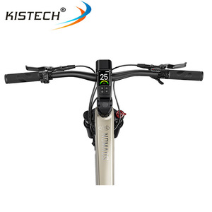 <span class=keywords><strong>Fiido</strong></span> Nomads Touring <span class=keywords><strong>E</strong></span>-<span class=keywords><strong>Bike</strong></span> avec moteur 250W 36V 11.6AH batterie 29 pouces roues capteur de couple frein à disque hydraulique Ebike - Product Image 4
