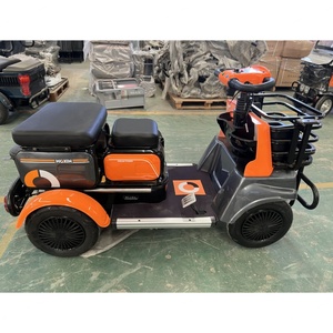 Triciclo Eléctrico Urbano de 600W, Fabricado en China, Nuevo, para Pasajeros, Scooter para Personas Mayores, Mini Auto de 4 Ruedas - Product Image 6