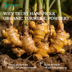 Органический порошок корня куркумы Organic Spice Resource, кошерный, халяльный, сушеный порошок куркумы, порошок куркумина - Product Image 5