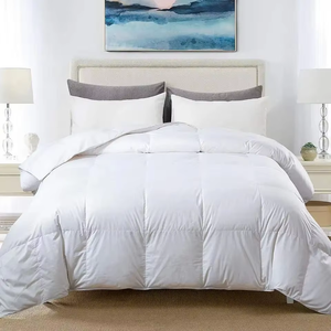 Đôi Kích thước 95 ngỗng xuống ấm nhất xuống <span class=keywords><strong>Comforter</strong></span> xuống thay thế Nữ Hoàng Kích thước Duvet chèn Nữ Hoàng Trắng khách sạn sang trọng bộ đồ giường - Product Image 1
