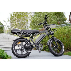 Promoción Zerogo E-Bike City Frame Fatbike V20 Pro, Cuadro de Bicicleta Eléctrica para Adultos V20Pro, Promoción Zerogo E-Bike City Frame Fatbike V2 - Product Image 1