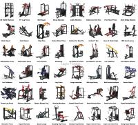 Máquina Comercial de Extensión y Curl de Brazos para Gimnasio, con Selección de Carga por Pin, de Fabricante