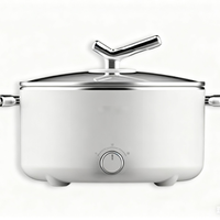 Casserole électrique multifonctionnelle 2 en 1 de 2 L avec protection contre la surchauffe, revêtement antiadhésif, couvercle en verre, en acier inoxydable
