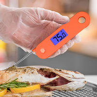Thermomètre numérique étanche IP68 Lonnmeter à batterie rechargeable, pliable à 180 degrés, pour four, barbecue et cuisson de la viande