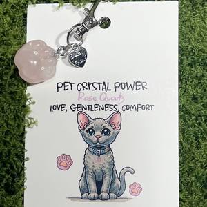 Talisman <span class=keywords><strong>de</strong></span> Energía para Perros con Piedra <span class=keywords><strong>de</strong></span> Cristal Natural, Joyería Curativa, Gema <span class=keywords><strong>de</strong></span> Reiki Emocional, Amuleto <span class=keywords><strong>de</strong></span> la Suerte para Mascotas, Colgante para Collar <span class=keywords><strong>de</strong></span> <span class=keywords><strong>Gato</strong></span>, Colgante <span class=keywords><strong>de</strong></span> Pata - Product Image 3