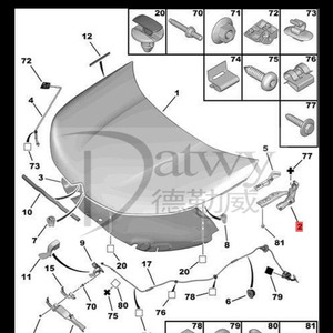 OE 7912GY <span class=keywords><strong>Citroen</strong></span> <span class=keywords><strong>C3</strong></span> C4 cerniere del cofano (marca Datwy) - Product Image 2