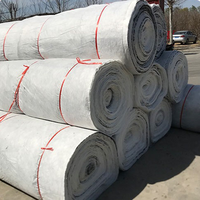 Vente directe du fabricant, panneau de drainage en géocomposite en plastique HDPE de haute qualité en forme de W avec garantie de 5 ans pour une utilisation en jardin