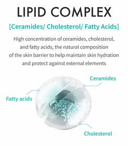 ครีมบำรุงผิวหน้าสูตรเกาหลี 60 กรัม ช่วยเติมความชุ่มชื้น บำรุงผิวแห้ง ปลอบประโลมผิว บำรุงผิวทุกวัน สำหรับผู้หญิง - Product Image 5