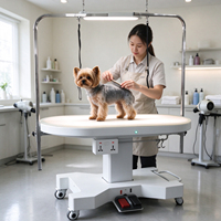 Table de toilettage électrique ovale professionnelle pour animaux de compagnie avec éclairage LED et levage par pédale, équipement de salon pour animaux OEM
