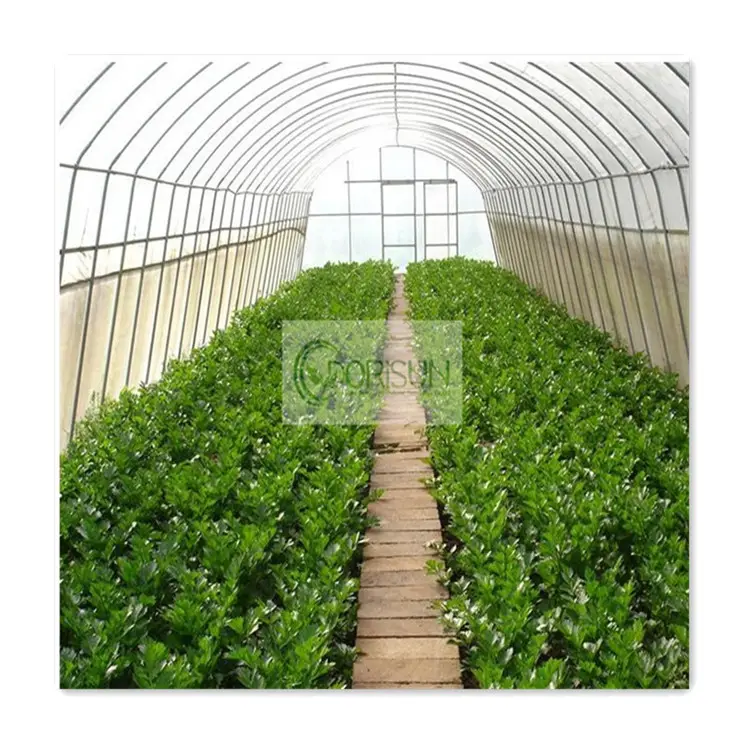 Sıcak satış galvanizli boru tek açıklıklı domates yeşil ev ışık yoksunluğu CO2 denetleyici birleştirmek tohum başlangıç tablası sera