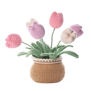 Kit de crochet de bricolage pour débutants Kit de <span class=keywords><strong>pot</strong></span> de fleurs pour plantes au crochet avec tutoriels détaillés Kit de crochet pour débutants complets - Product Image 3