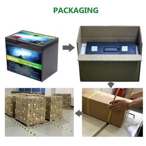 Batteria LiFePO4 a ciclo profondo 24V 50Ah batteria di accumulo di energia e 24 v20ah 24 v40ah 24 v50ah 24 v100ah 12V 20Ah 50Ah 100Ah 200Ah - Product Image 5