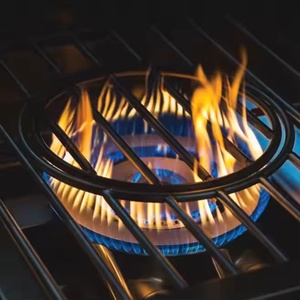 Barbecue <span class=keywords><strong>Grill</strong></span> Wok bruciatore da tavolo costruito <span class=keywords><strong>in</strong></span> bruciatore di potenza Barbecue - Product Image 5