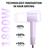 Sèche-cheveux et lisseur 2-en-1 ionique haute vitesse, qualité salon, avec buse concentratrice, prise USA, pour usage domestique, hôtelier et professionnel