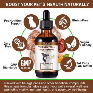 Complément nutritionnel biologique pour animaux de compagnie Oimmal, extrait liquide de champignon Turkey Tail pour chien avec probiotiques, immunité, digestion - Product Image 2