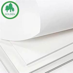 Papel Cartón Blanco SBS de Alto Volumen, Super Volumen, GC1 Bristol Board, GC2 Ivory Board, Precio de Fábrica al por Mayor en China - Product Image 4