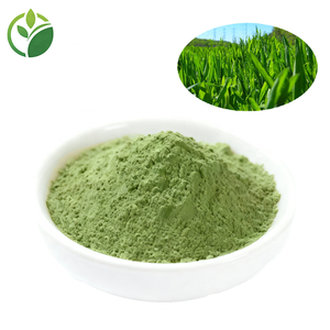 Giá bán buôn nước tự nhiên hòa tan hữu cơ lúa mì cây giống bột lúa mì lúa mạch nước trái cây cỏ Bột cỏ lúa mì bột - Product Image 1