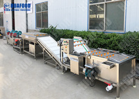 Grapefruit- en zeevruchtenreinigingsmachine, appel-schil- en wasmachine met motordroogfunctie