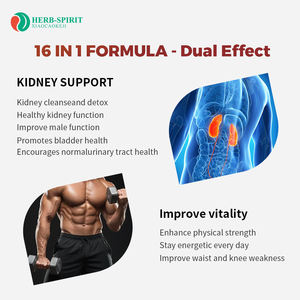 في المخزون مكملات دعم المثانة الصحية للكلى المكونات النشطة الطبيعية مسحوق مختلط تعزيز دعم الكلى التحمل للذكور - Product Image 5