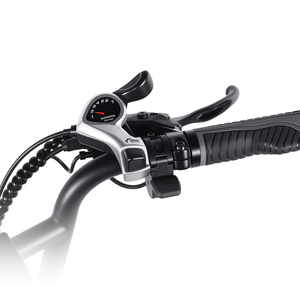 <span class=keywords><strong>Meilleur</strong></span> vélo électrique de livraison de nourriture, pneus anti-crevaison de 20 pouces, batterie double 50ah, autonomie de 150 km, 7 vitesses, vélo de livraison de nourriture urbain - Product Image 4