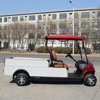 Voiturette de golf électrique à deux places avec batterie au lithium et boîte de chargement