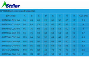 BMT65, 1 "Interno (ID) Soporte de torneado estático Statischer Drehhalter Bohrdurchmesser Kann Individualmente Angepasst Werden - Product Image 4