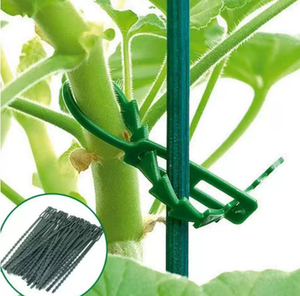 Ataduras de Plástico Flexibles Ajustables de 40 cm para Plantas, Cuerda de Soporte para Plantas Trepadoras, Jardinería - Product Image 2