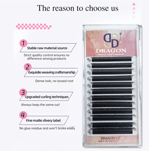 Extensions de cils individuelles en forme de W Dragonlash YY 0.07 D Mix, marque privée, douces, naturelles, beauté coréenne, matériaux PBT - Product Image 4