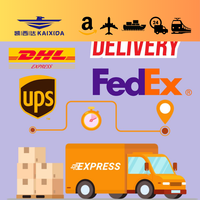 Servicio de Logística Profesional, Agente de Envío a Alemania, Transitario en Hamburgo y Berlín, FCL, Transporte Marítimo, DDP, Mensajería Express