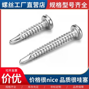 Vis autoperceuses Tai Chenming en acier inoxydable 410 à tête ronde Phillips pour tôles ondulées - Product Image 3