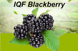 HARGA TERBAIK kualitas bersertifikat diskon besar produk buah besar musim baru IQF Frozen Blackberry - Product Image 4