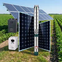 Pompe immergée DAYU 8 pouces avec moteur à fréquence variable classe H AC/DC pour irrigation agricole solaire