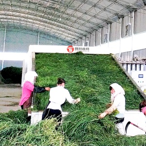 30 طن من أوراق الشجر والزهور الكرز والنعناع ستيفيا الليمون المارجورام معدات تجفيف - Product Image 4