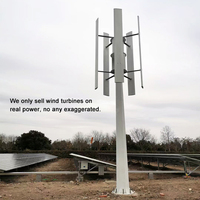 Sortie d'éolienne solaire hybride Panneaux solaires Générateur d'énergie éolienne Énergie domestique 20Kw Système d'énergie hybride solaire et éolienne