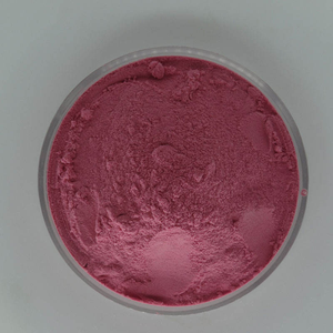 Poudre de baie miracle 100% naturelle de haute qualité, poudre de <span class=keywords><strong>Synsepalum</strong></span> dulcificum lyophilisée pour usage alimentaire - Product Image 3