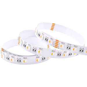 OEM Smart LED Strip 24V Spanning Verlichtingsregeling Kleur Analoog PWM SMD5050 DC24V Flexibel 60leds LED Lichtband RGBW Buitengebruik - Product Image 1