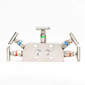 Прямая Продажа с фабрики Emerson Rosemounts 304 обычный коллектор с 305/304/306 манометрами - Product Image 4