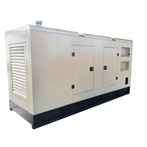 เครื่องกำเนิดไฟฟ้าดีเซลราคาที่ดีที่สุด200kva เครื่องกำเนิดไฟฟ้าเงียบ Generador De Energia 200kw กับ6LTAA8.9-G2