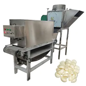 La ligne de production d'ail automatique industrielle comprend une machine de traitement de tri d'épluchage de nettoyage d'ail