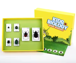 Gelsonlab HSKS-2712 soya fasulyesi gömülü biyolojik örnekleri öğretme gömülü örnekleri nasıl çimlendirir - Product Image 4