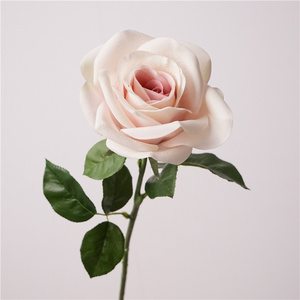 C-071 Vente en gros <span class=keywords><strong>de</strong></span> roses artificielles en latex bleu et rose poussiéreux au toucher réel pour la décoration <span class=keywords><strong>de</strong></span> <span class=keywords><strong>mariage</strong></span> et <span class=keywords><strong>de</strong></span> la maison, centres <span class=keywords><strong>de</strong></span> <span class=keywords><strong>table</strong></span> chics en forme <span class=keywords><strong>de</strong></span> rose - Product Image 6