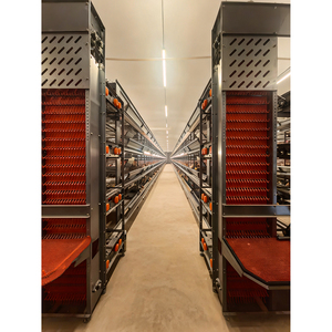 Yeni H Tipi Batarya Kafes Otomatik Katmanlı Tavuk Kafesi Sıcak Daldırma Galvanizli Çelik PVC 3-4 Katlı 5000-50000 Kapasiteli Çiftlik - Product Image 6