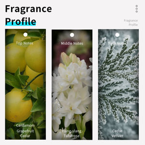 VILILY 38 ml – <span class=keywords><strong>Parfum</strong></span> de voyage arabe pour <span class=keywords><strong>homme</strong></span> – Mini <span class=keywords><strong>parfum</strong></span> boisé aromatique – Parfums originaux pour <span class=keywords><strong>homme</strong></span> - Product Image 4