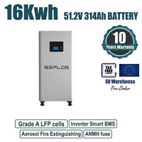 Paket Baterai Lithium Ion 51.2V 280Ah 314Ah 15KWh 16KWh dengan BMS Terbaru SEPLOS