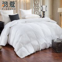Couette en duvet de canard 100% coton, anti-allergie, de qualité supérieure, pour la maison et l'hôtel, utilisable toute l'année