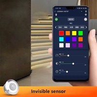 Contrôleur LED intelligent pour éclairage d'escalier avec capteur de positionnement, compatible application, pour système d'éclairage intérieur d'escalier DC12V/24V