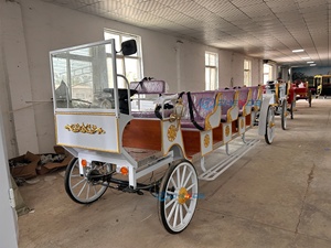 Vagoneta eléctrica de turismo extendida y personalizable en blanco y dorado con techo beige - Product Image 6